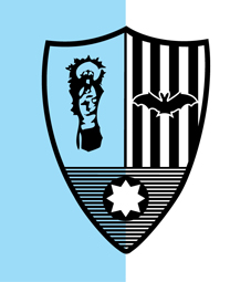 El Pilar UPV