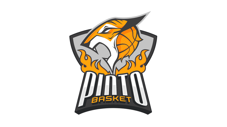 Grupo Egido Pintobasket